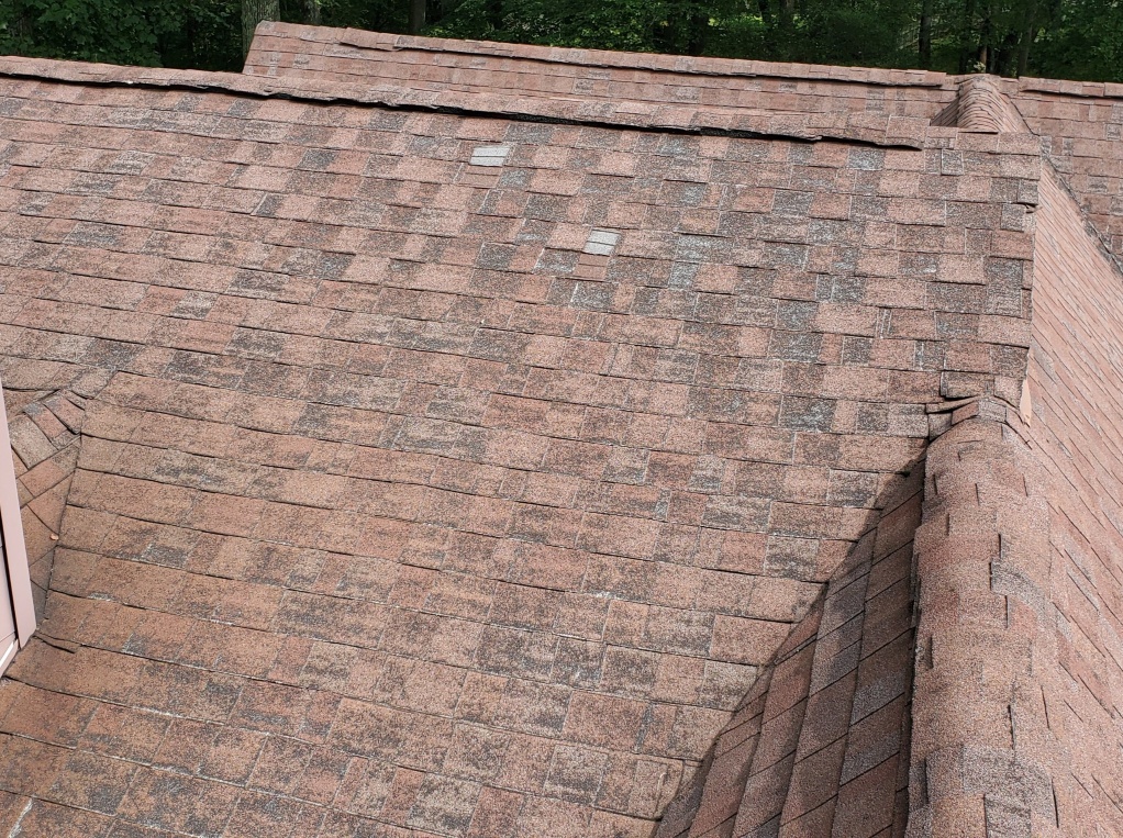Age of Roof